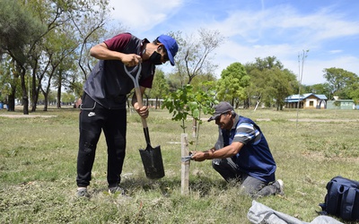 las-brenas-forestacion-y-mitigacion-al-cambio-climatico