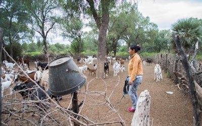 dia-internacional-de-las-mujeres-rurales